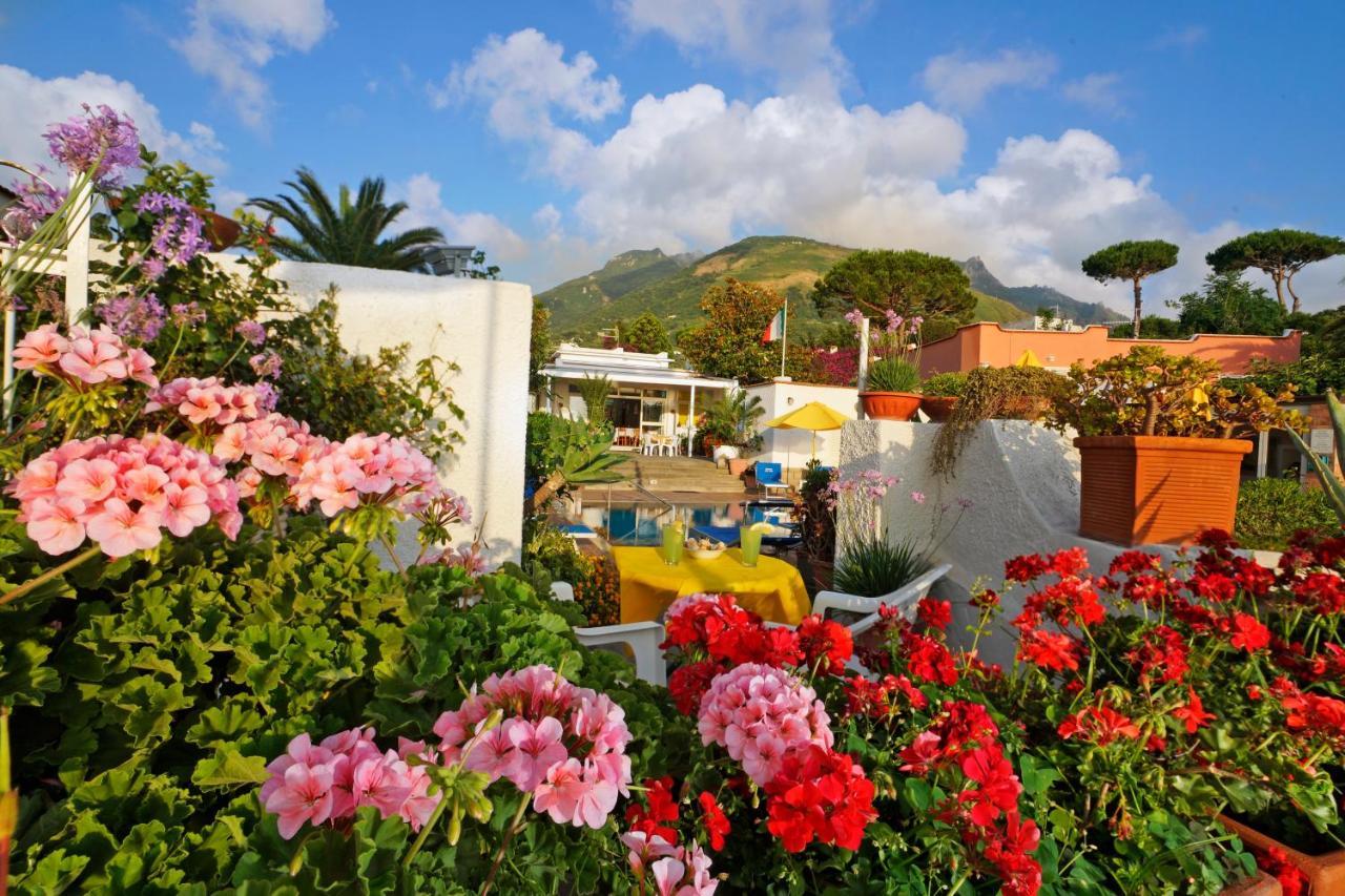 Hotel Villa Mena Forio di Ischia Exterior foto